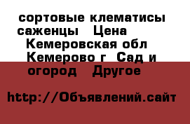 сортовые клематисы саженцы › Цена ­ 300 - Кемеровская обл., Кемерово г. Сад и огород » Другое   